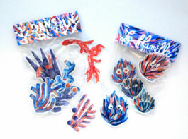 Crée ta collection 