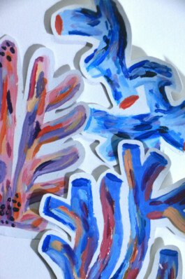 Crée ta collection 